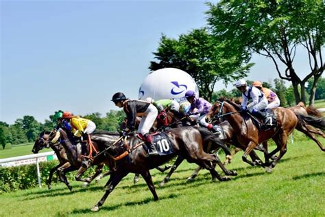 betting on 2000 guineas stakes